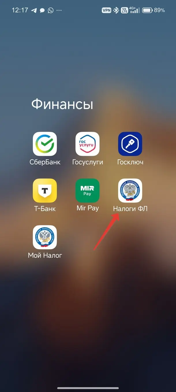 Запустите приложение Налог ФЛ