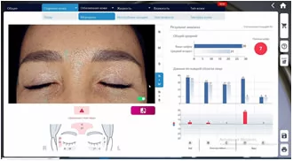 Пример работы Janus Pro